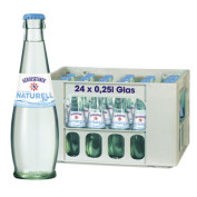 Gerolsteiner Gourmet Mineralwasser Naturell 0,25L