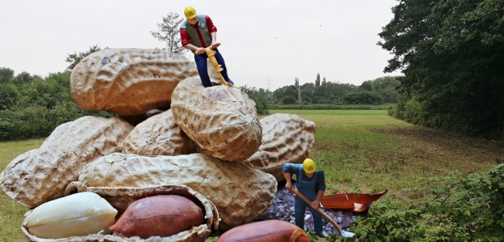 37 Wohneinheiten inklusive Hinterlandbebauung