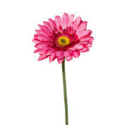 Kunstblume GERBERA
Kunstblume GERBERA