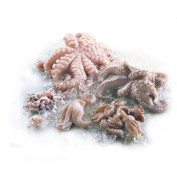 Pulpo frisch ca.3kg St ca.300-500g