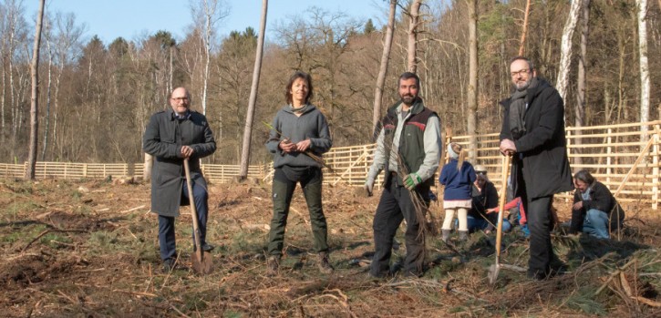 Naturverbundene Kinder forsten den Stadtwald auf