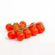 Cherry-Strauchtomaten 3kg